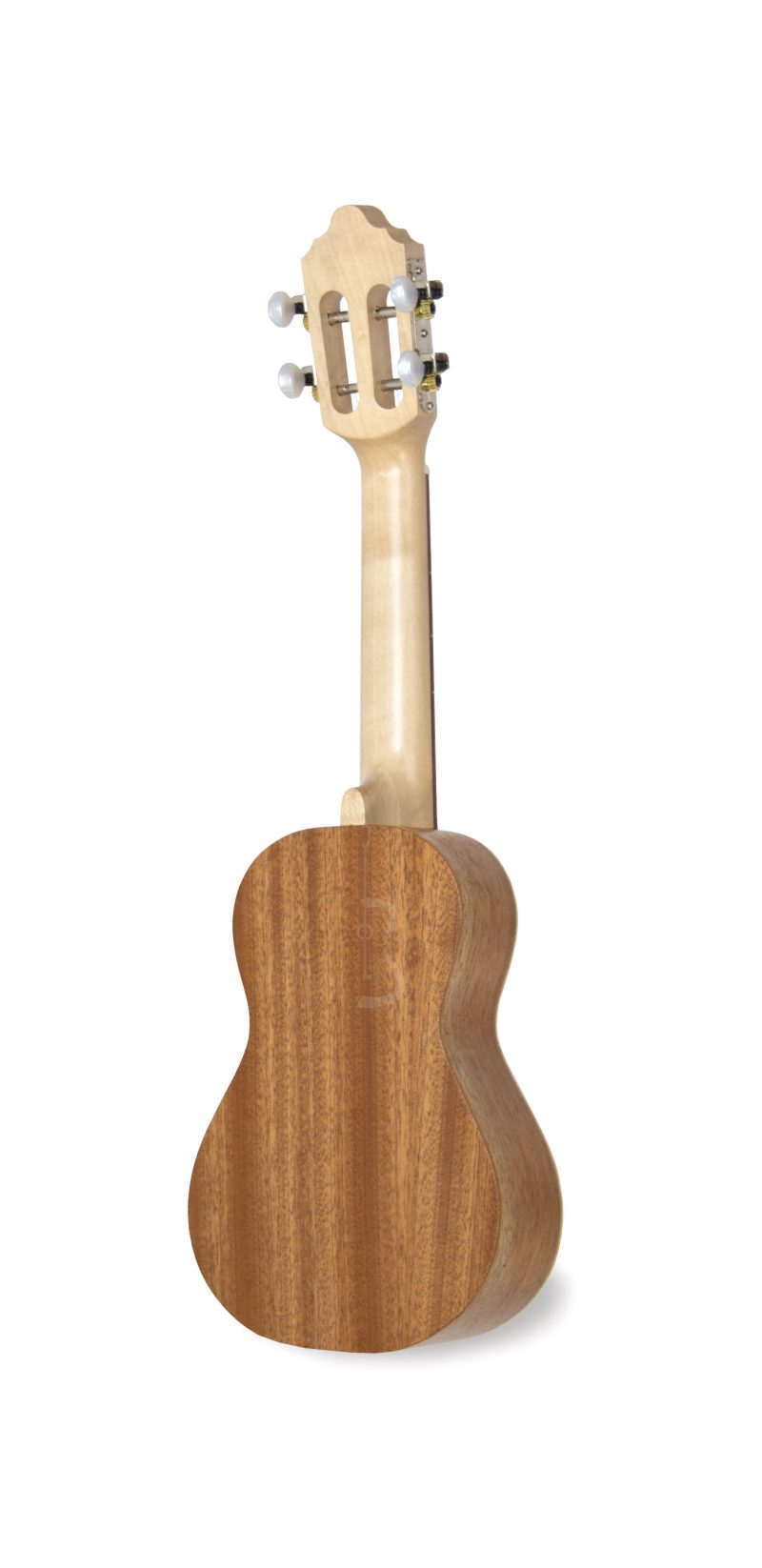 APC 100 - Image 2