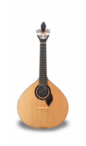 APC 310 CB (COIMBRA)